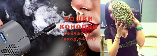 ГАЛЛЮЦИНОГЕННЫЕ ГРИБЫ Фёдоровский