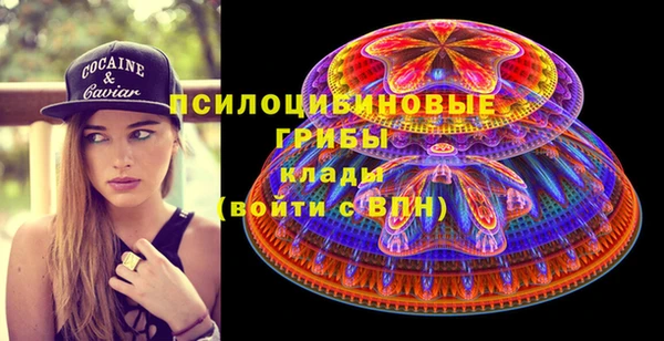 синтетический гашиш Ельня