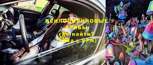 синтетический гашиш Ельня